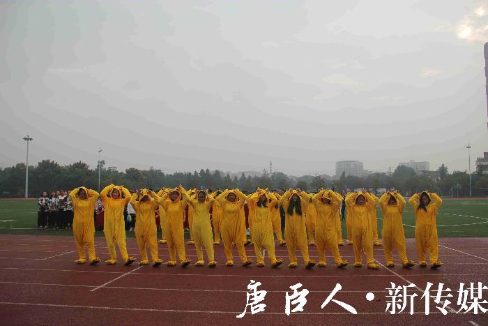 星空·xingkong体育官方网站