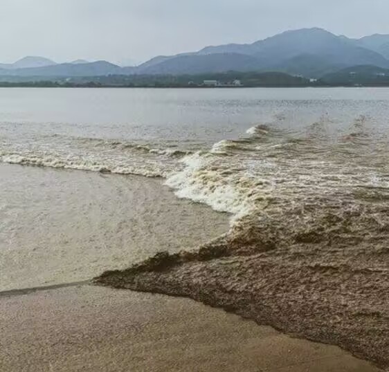 星空·xingkong体育官方网站